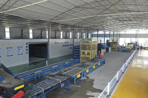 深汕西高速改擴建項目 打造全省首條小型預制構(gòu)件自動化生產(chǎn)線,產(chǎn)能快速提升5倍